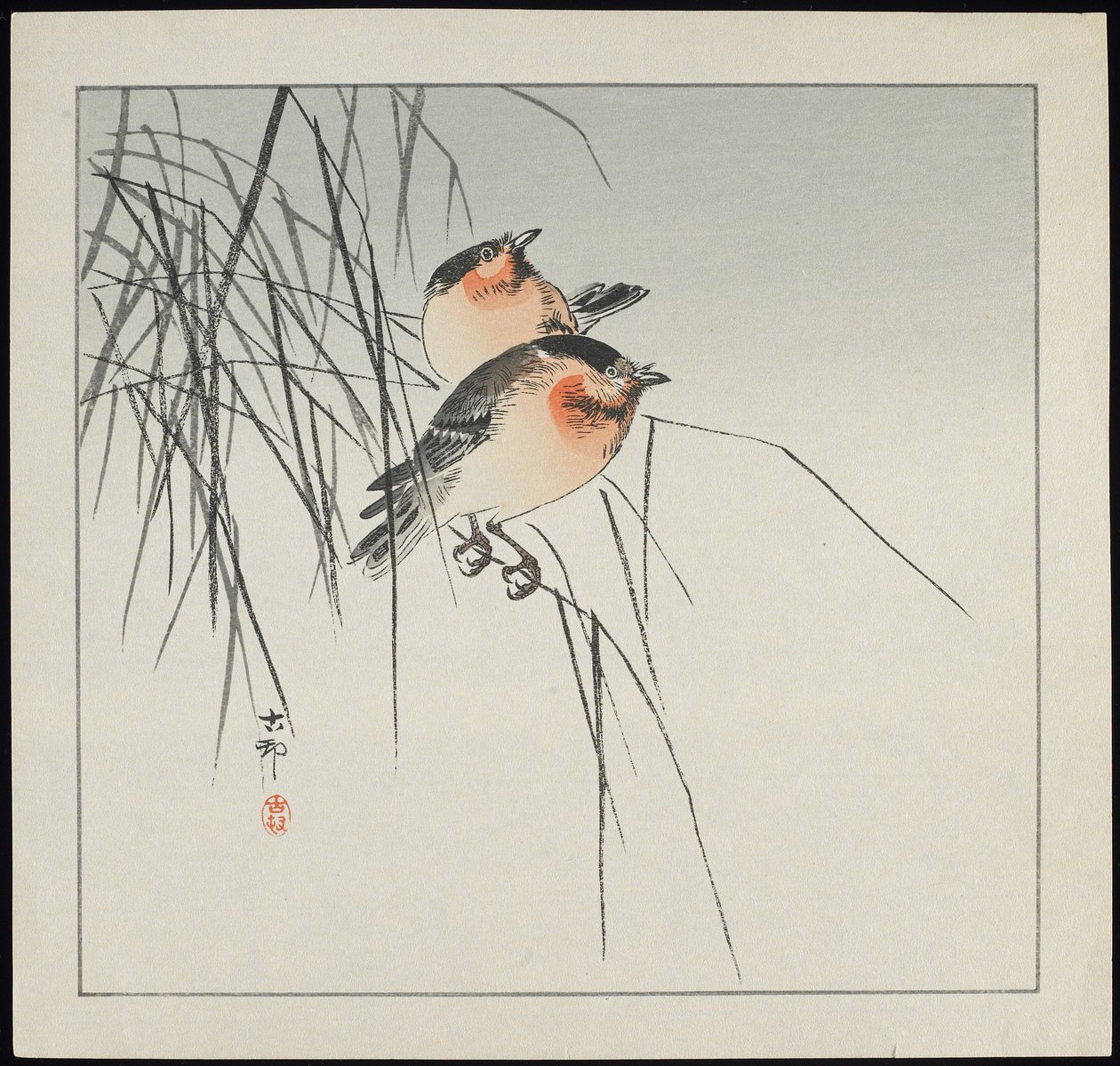 1912年以前の葦の上の2羽の鳥